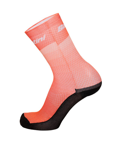 SANTINI chaussettes de vélo GPCQM 2024 - Unisexe